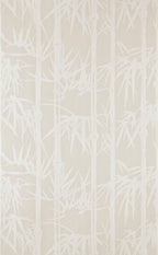 Bamboo