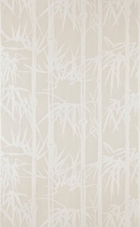 Bamboo