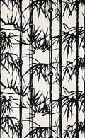 Bamboo