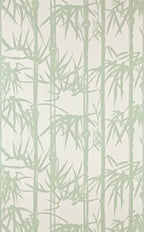 Bamboo