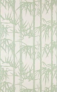 Bamboo