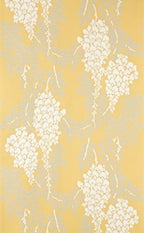 Wisteria