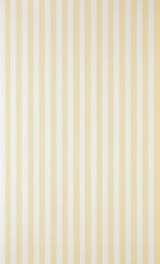 Closet Stripe