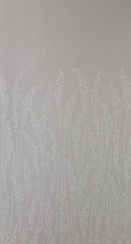 Feather Grass