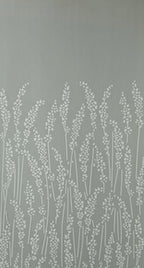 Feather Grass