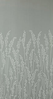 Feather Grass