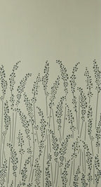 Feather Grass