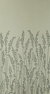 Feather Grass