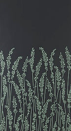 Feather Grass