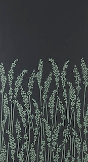 Feather Grass