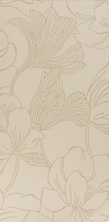 Helleborus