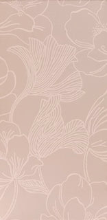 Helleborus