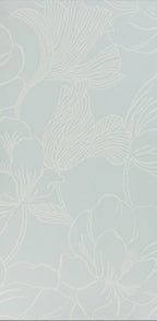 Helleborus