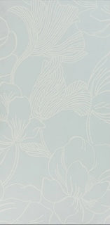Helleborus