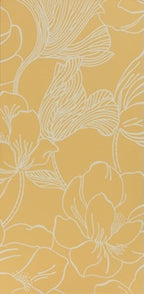 Helleborus