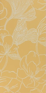 Helleborus