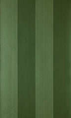 Broad Stripe