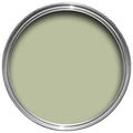 Cooking Apple Green