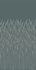 Feather Grass