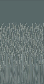 Feather Grass
