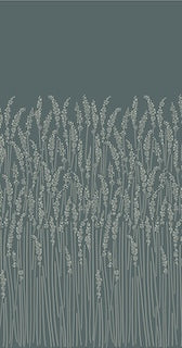 Feather Grass