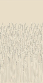 Feather Grass