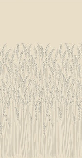 Feather Grass