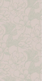 Helleborus