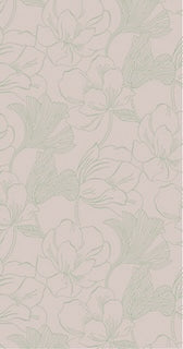 Helleborus