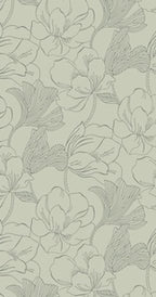Helleborus