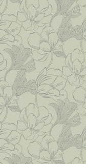 Helleborus