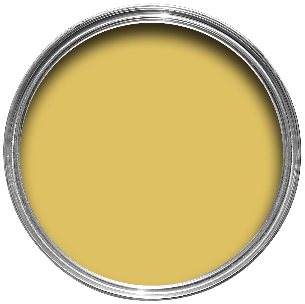 Ciara Yellow