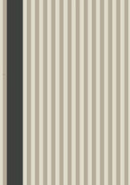 Stripe