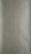 Lattice